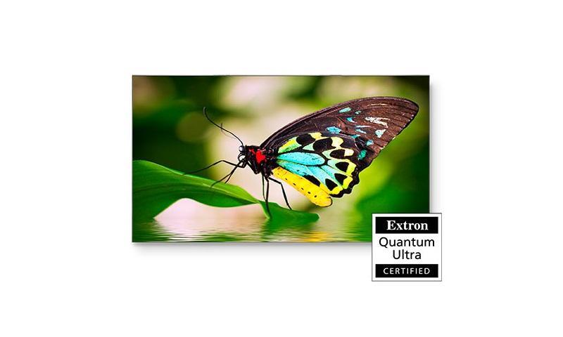 4K LED TVs & Pro Displays by Samsung, NEC & LG