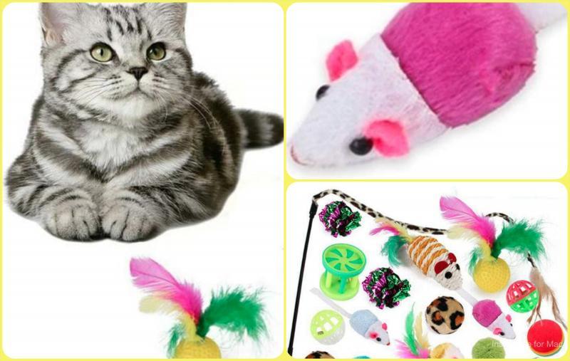 144 Units Pet Toys and Accessories - Great Assortment For Cats & Dogs
