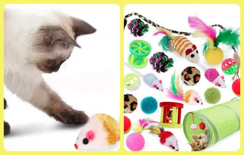 144 Units Pet Toys and Accessories - Great Assortment For Cats & Dogs