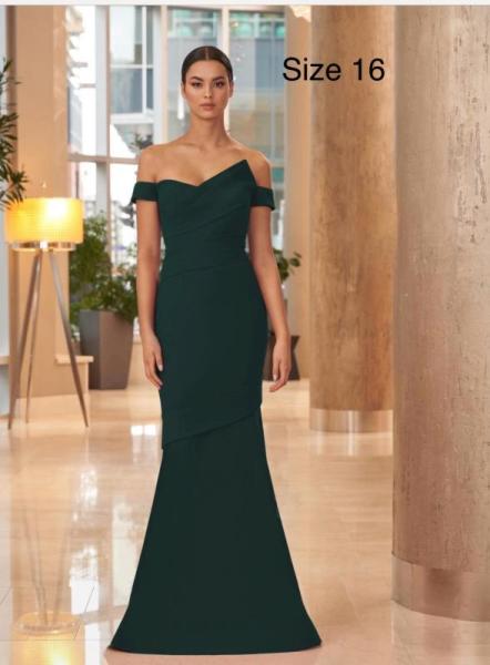 Gowns By designer Alexander By Day Mor
