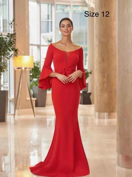 Gowns By designer Alexander By Day Mor