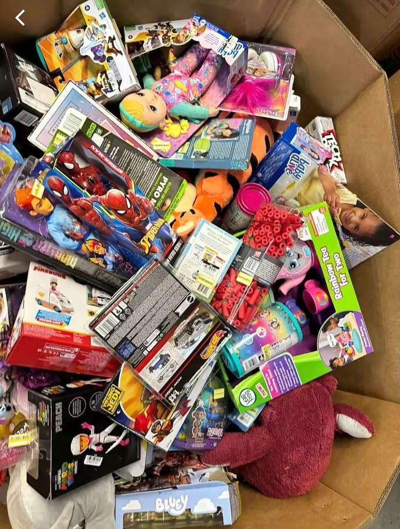 Mixed Toys Liquidation Lot – Assorted Brand-Name Kids Toys (Shelf Pulls & Overstock)