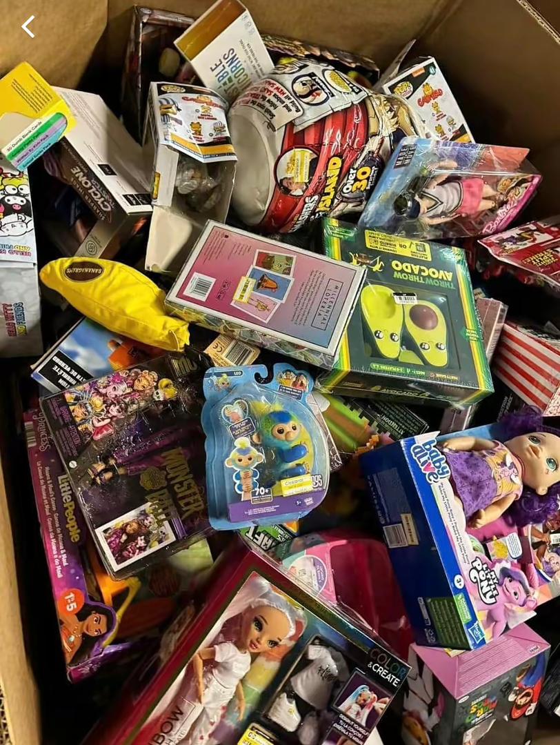 Mixed Toys Liquidation Lot – Assorted Brand-Name Kids Toys (Shelf Pulls & Overstock)